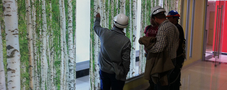 Gerecia y Coordinación de Proyectos